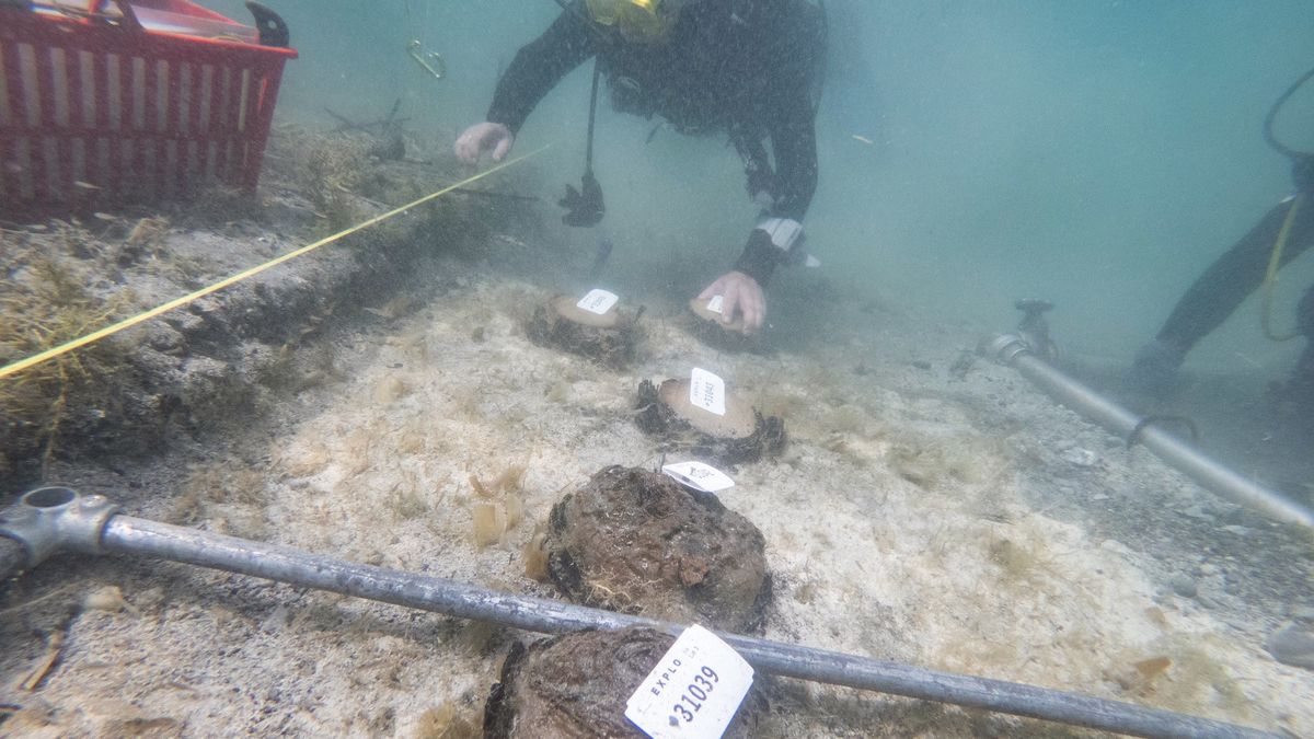 Odkryto ślady najstarszej osady nad jeziorem