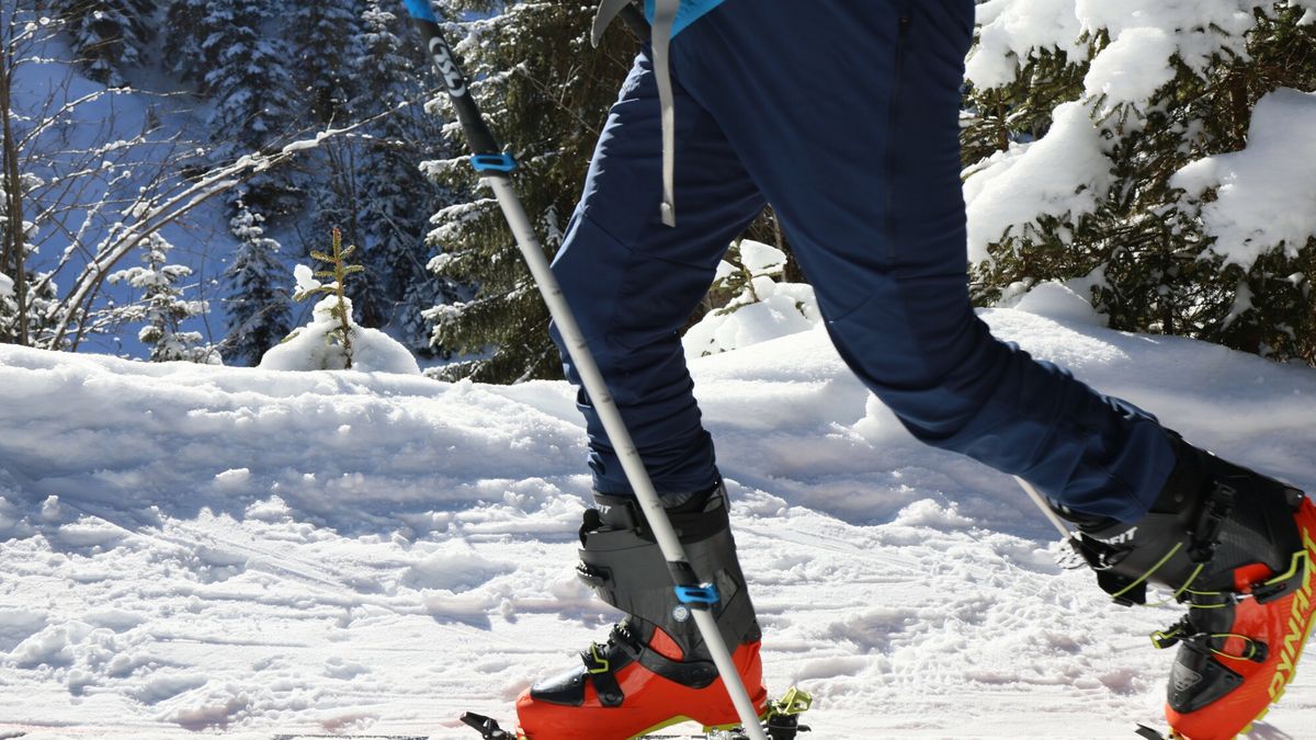 Zmiany dotyczące ferii zimowych 