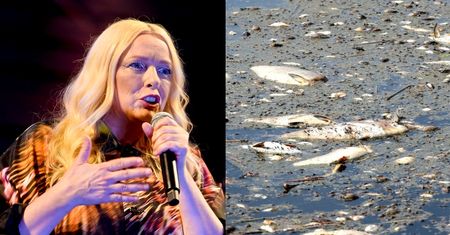 Katarzyna Nosowska dołącza do gwiazd piętnujących PiS za sytuację na Odrze: "BRZYDZĘ SIĘ tymi, którzy unikają odpowiedzialności"