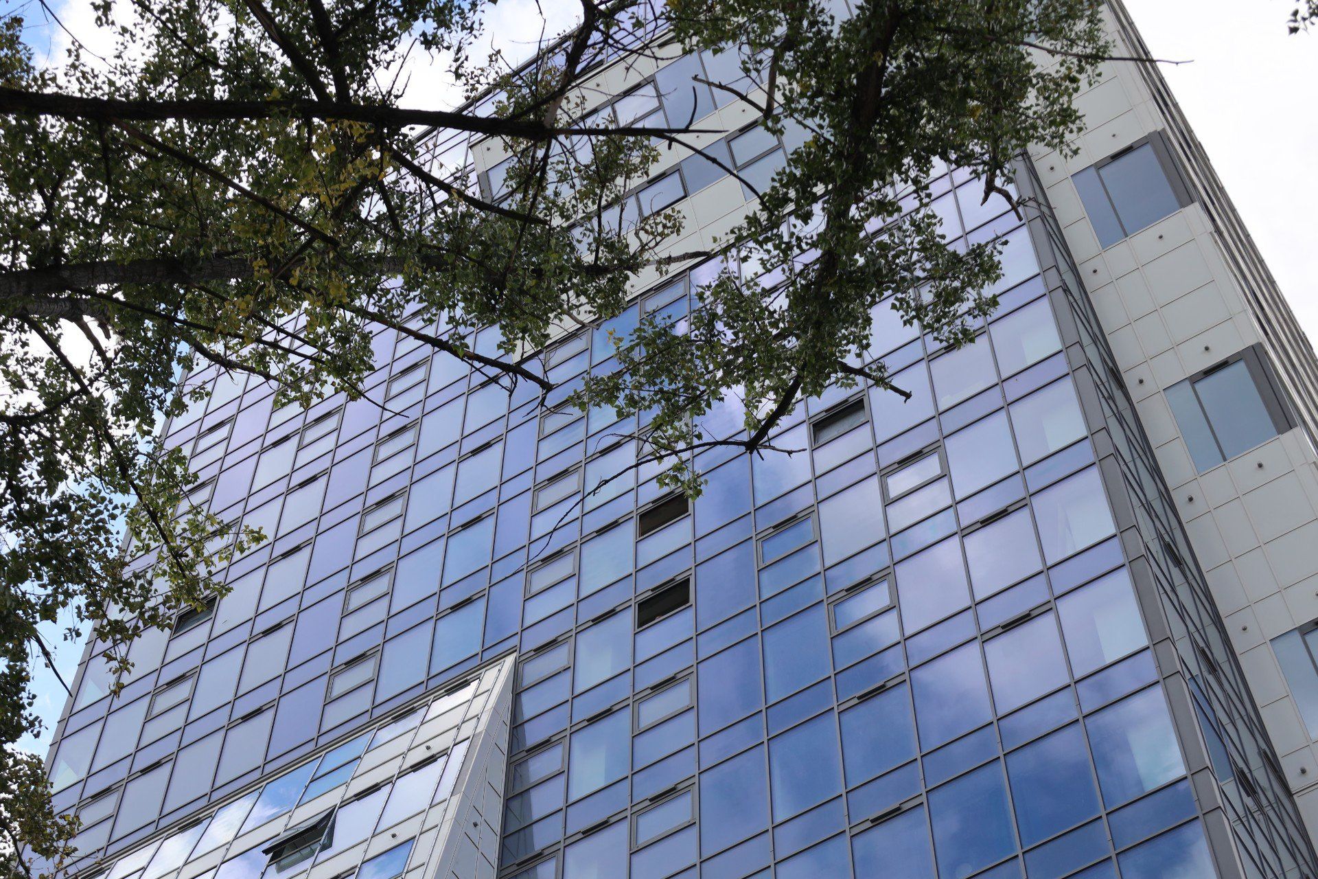 Wieżowiec Olszynki Park w Rzeszowie. Szklana fasada.