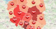 Koronawirus w Polsce. Mapa zakażeń ujawnia najnowsze dane. Już blisko 23 tys. chorych