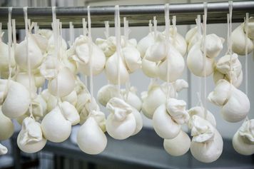 Zapomnij o mozzarelli z zalewy. Ten ser topi się idealnie i nie puszcza ani kropli wody