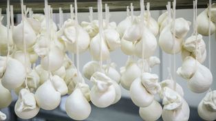 Zapomnij o mozzarelli z zalewy. Ten ser topi się idealnie i nie puszcza ani kropli wody