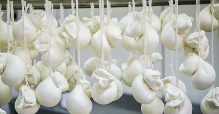 Zapomnij o mozzarelli z zalewy. Ten ser topi się idealnie i nie puszcza ani kropli wody