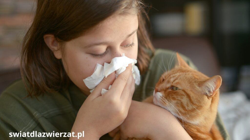 alergia na kota u dziecka
