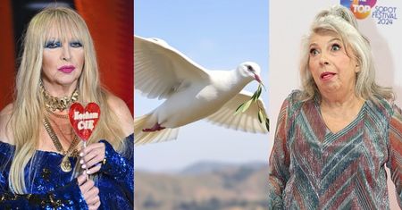 TYLKO NA PUDELKU: Maryla Rodowicz chce pojednać się z Krystyną Prońko. "Chętnie wyślę jej GOŁĄBKA POKOJU"