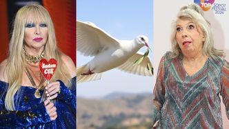 TYLKO NA PUDELKU: Maryla Rodowicz chce pojednać się z Krystyną Prońko. "Chętnie wyślę jej GOŁĄBKA POKOJU"
