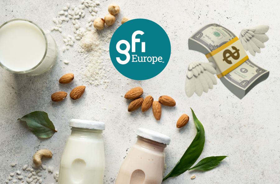 Według raportu GFI mleko roślinne jest najszybciej rosnącą kategorią wśród roślinnych zamienników w Polsce