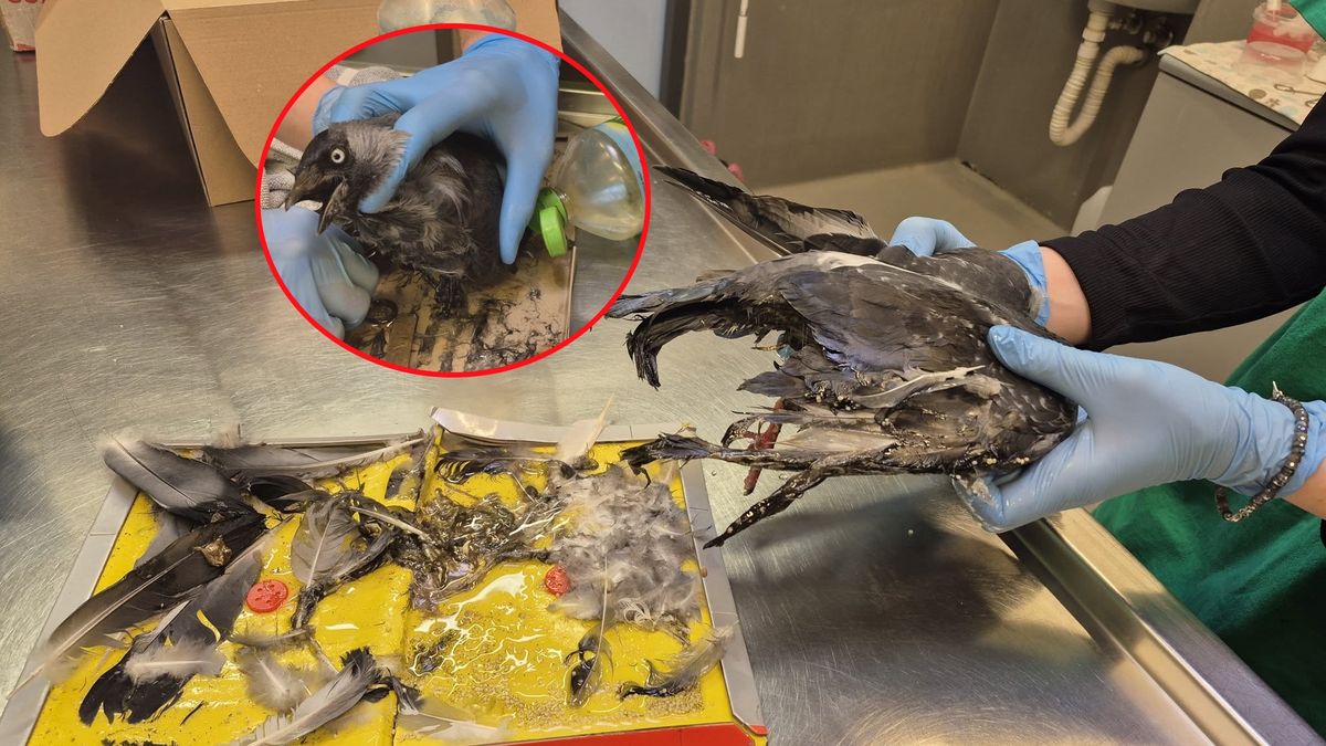 Warszawskie zoo opublikowało zdjęcia