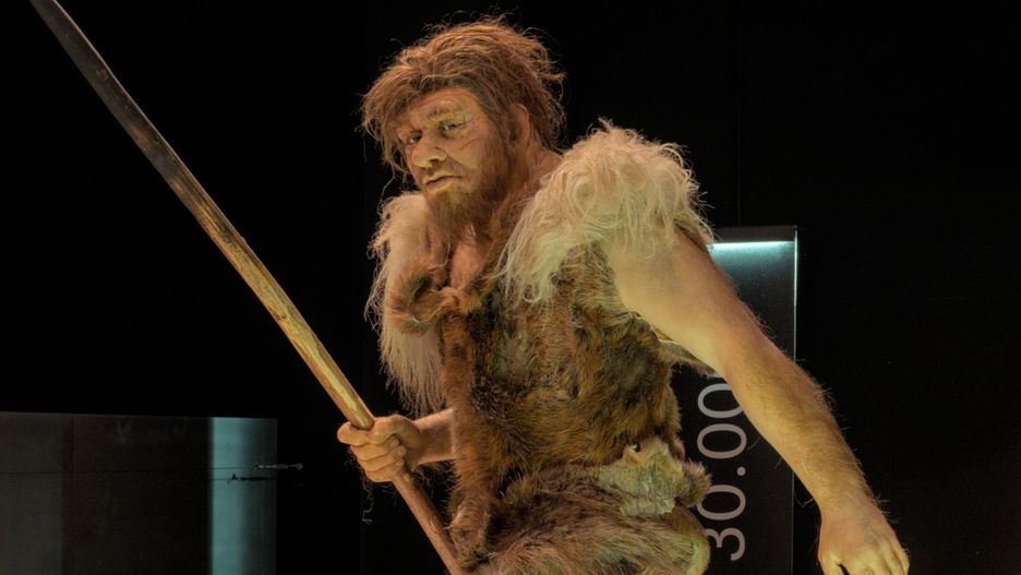 Neandertalczyk