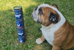 Butcher’s Original – nowa linia karm w portfolio Butcher’s Pet Care