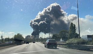 Potężny pożar we Francji. Płonie "brzuch Paryża"