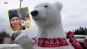 Telewizja żartuje z białego misia. Chodzi o wiralove wideo z Krupówek