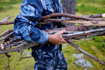 Zbieranie chrustu z lasu - co trzeba wiedzieć, by nie otrzymać mandatu?