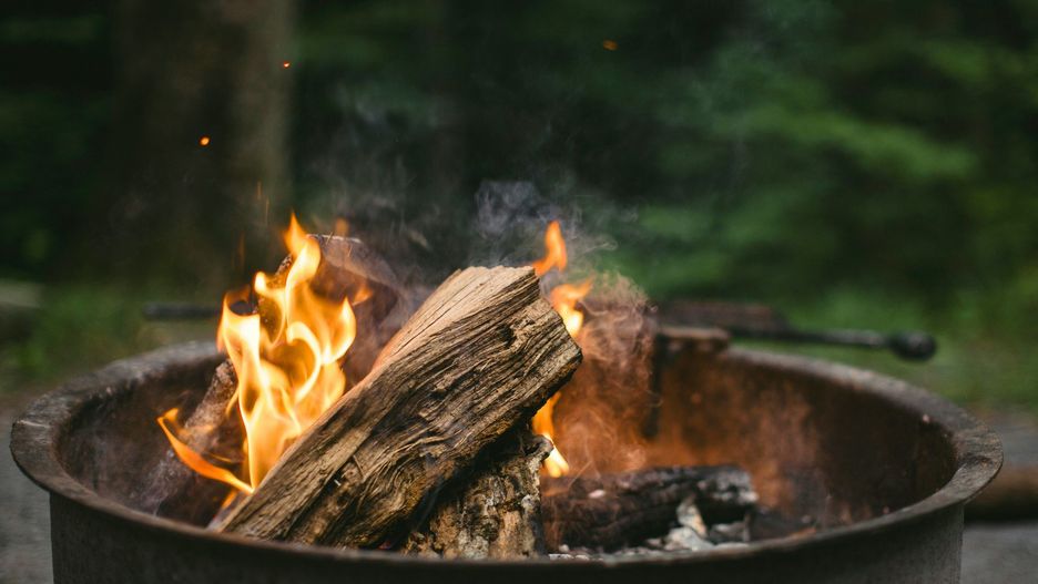 Najlepsze na opał jest suche, twarde drewno liściaste (takie jak grab, buk lub dąb). Wysoka gęstość i kaloryczność przekłada się na długi czas spalania i efektywne wytwarzanie ciepła.