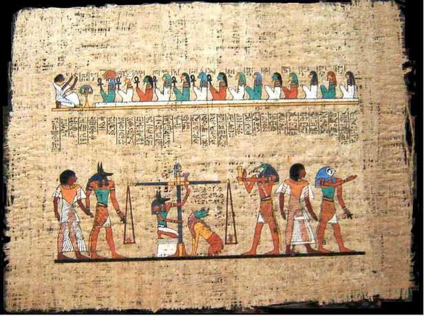 Papirus (Fot. Wikimedia Commons)