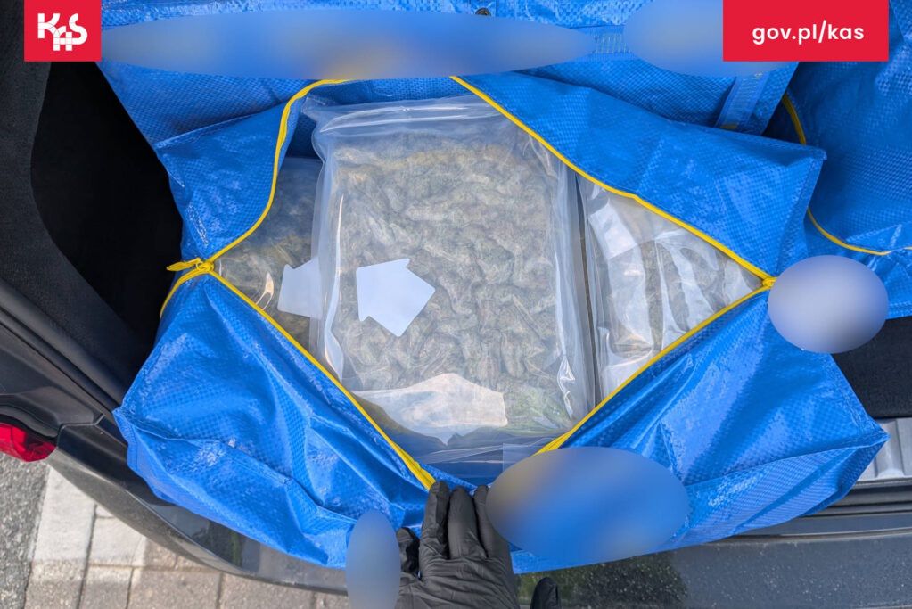 Kilkadziesiąt kilogramów marihuany przechwyconych przez KAS na autostradzie A2