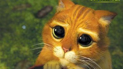 GTA odpowie za śmierć dachowca? 1