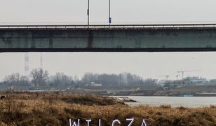 Wilcza wyspa