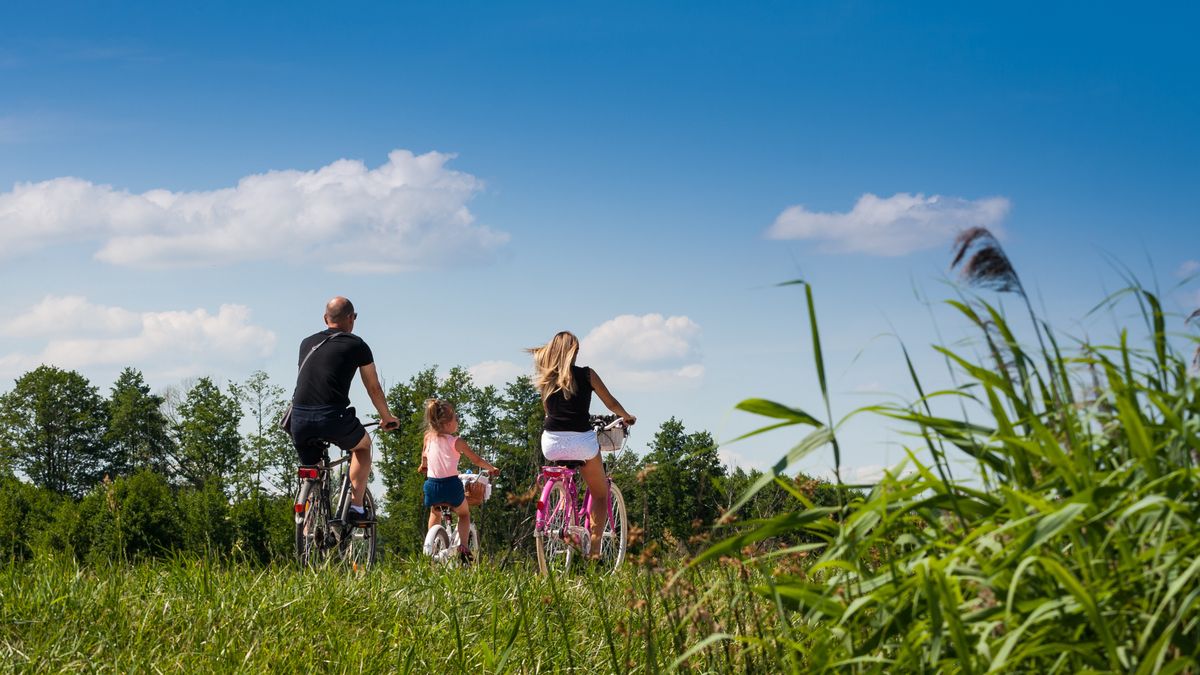 Świadczenia na dzieci w Polsce w 2024 roku 