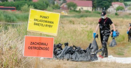 Katastrofa ekologiczna na Odrze. "To powódź niekompetencji". Władza tłumaczy się w Sejmie