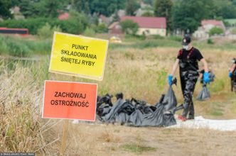 Katastrofa ekologiczna na Odrze. "To powódź niekompetencji". Władza tłumaczy się w Sejmie