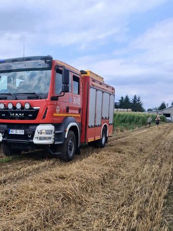 Pożar zboża we Włoczewie. Strażacy ugasili ogień obejmujący około 40 arów!
