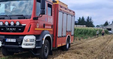 Pożar zboża we Włoczewie. Strażacy ugasili ogień obejmujący około 40 arów!