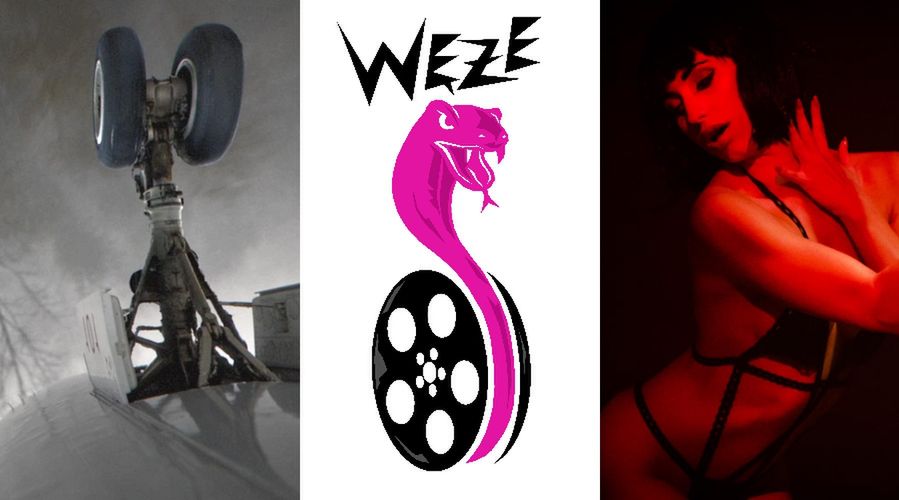 W Polsce można śmiać się ze złych filmów! Węże zgodne z prawem