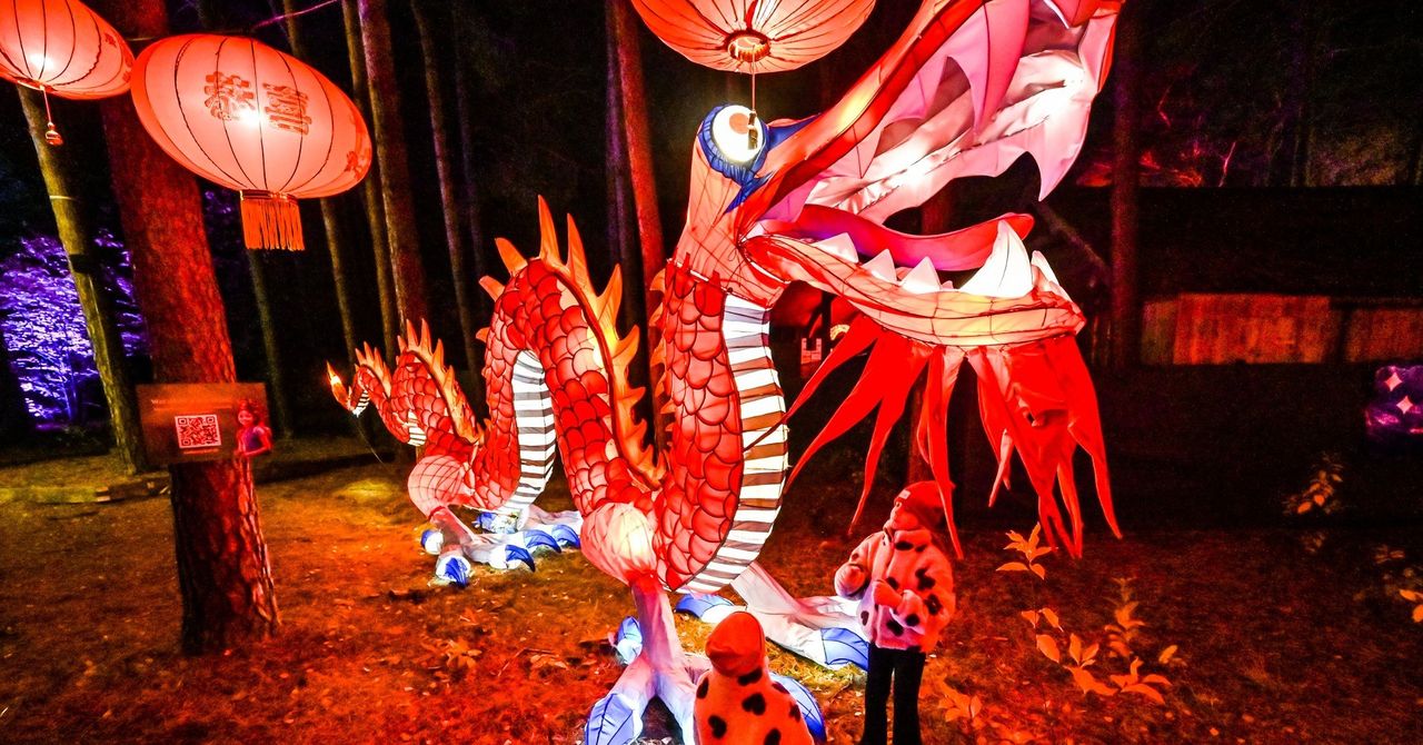 Bydgoszcz: Lumina Park wraca. Tak wygląda w środku bajkowego świata