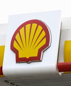 Ponad 100 milionów dolarów dla Nigerii. Shell zapłaci za wyciek sprzed 50 lat