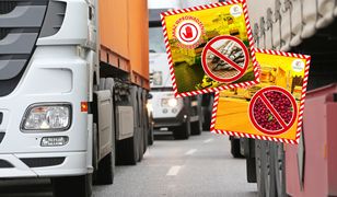 Żywność z Rosji jechała do Polski. Jedna rzecz zaniepokoiła służby