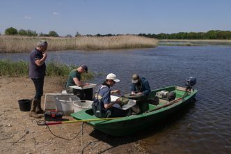 W starorzeczach kryzys narasta. Zalecają "odcięcie" Zbiornika Czernica od Odry