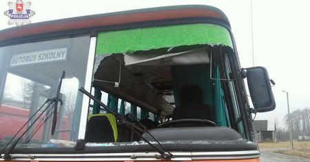 Przelatująca kaczka wybiła szybę w szkolnym autobusie