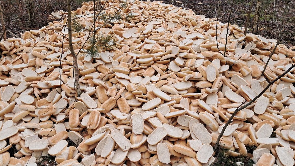 Wyrzucone pieczywo do lasu.