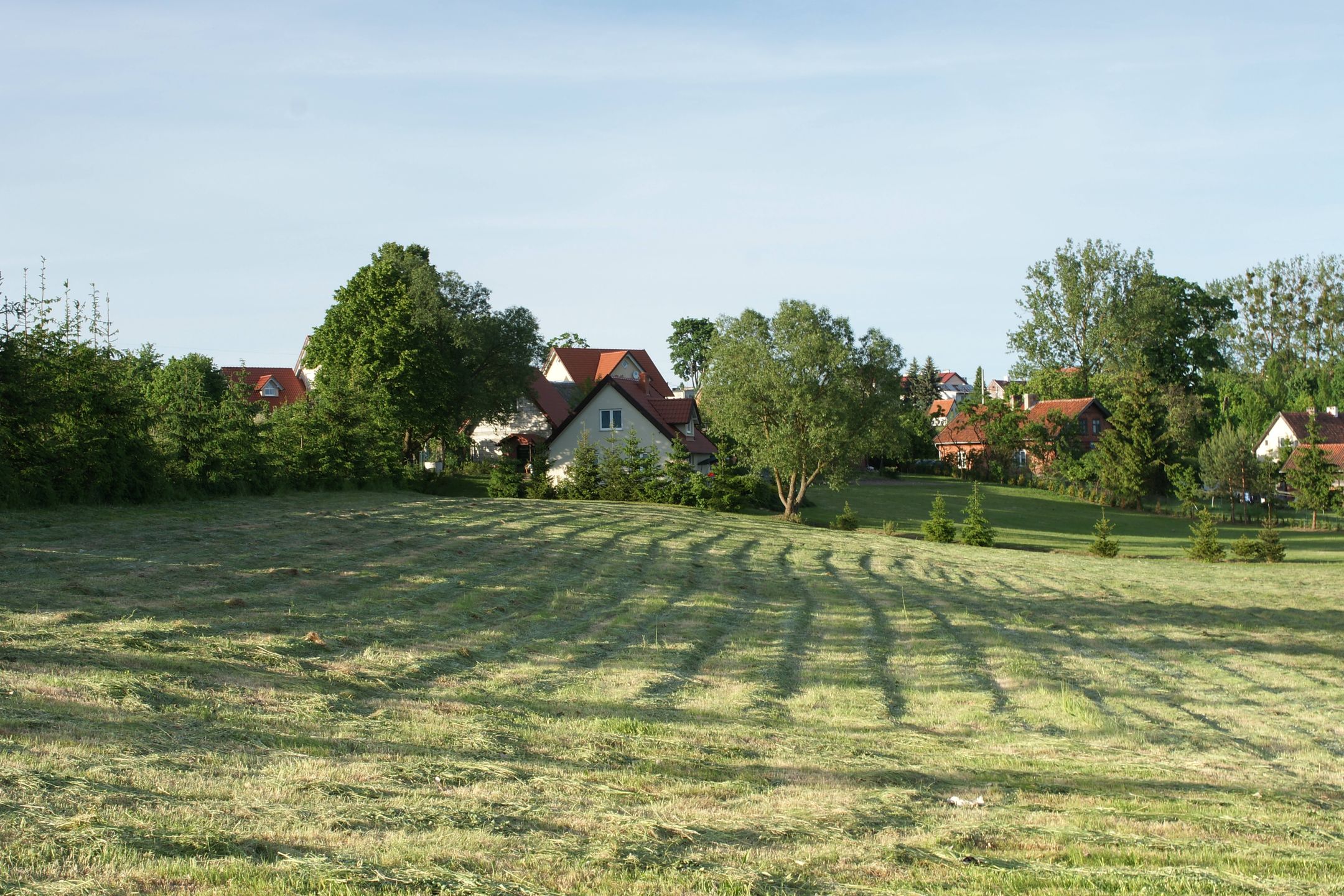 gospodarstwo