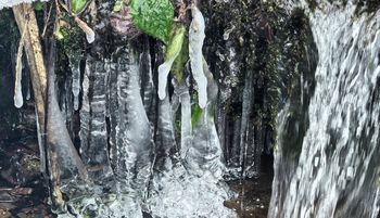 Leśnik aż wyjął telefon. Ten widok zapiera dech. Lawina wpisów