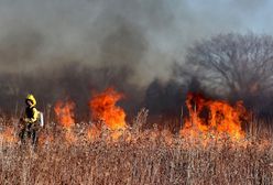 Wypalanie traw. Niebezpieczna praktyka, za którą grożą wysokie kary