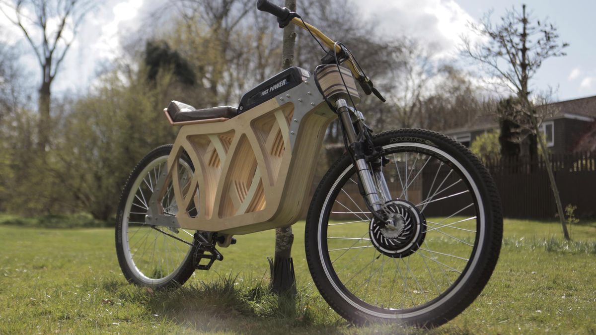 Elektryczny rower z drewna. Niezwykły projekt pasjonatki 1