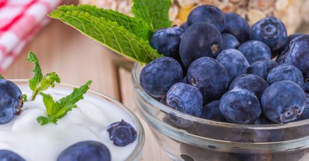Czarne owoce - aronia, borówka, jagoda, jeżyna, porzeczka, malina