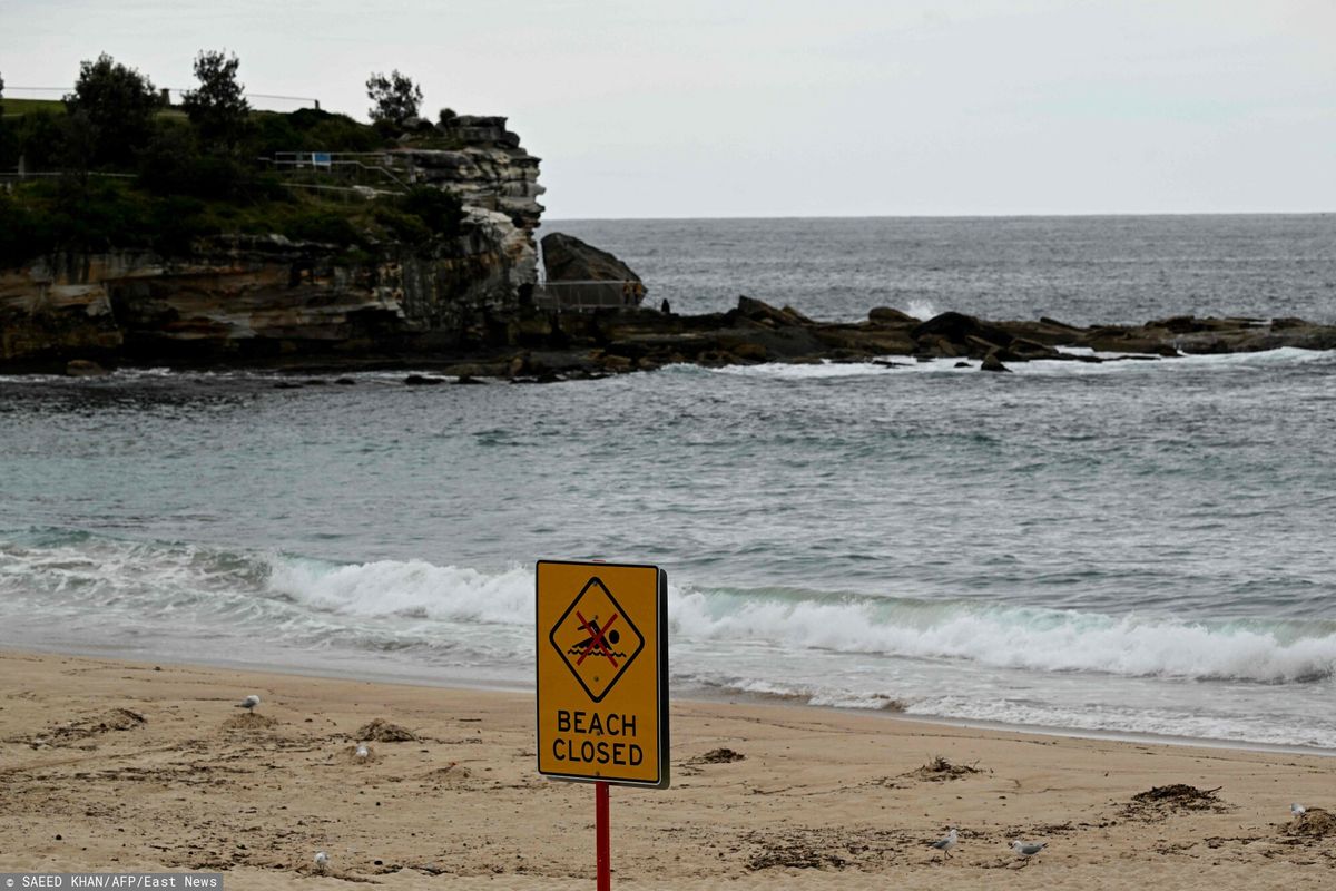 Plaża Coogee została zamknięta z powodu czarnych kul