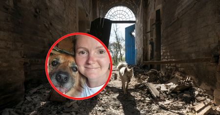 Marija z Buczy z narażeniem życia ratowała zwierzęta. Niewiarygodne, jak jej się odwdzięczyły