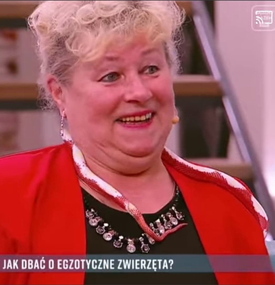Obrazek