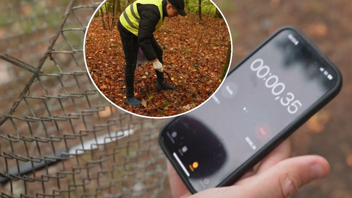 W lesie można znaleźć więcej śmieci niż grzybów