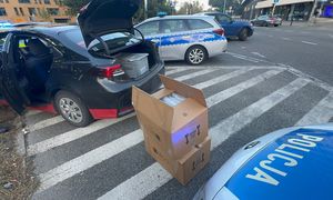 Nielegalny kurs w centrum Warszawy. Zamiast pasażera wiózł 20 kg narkotyków