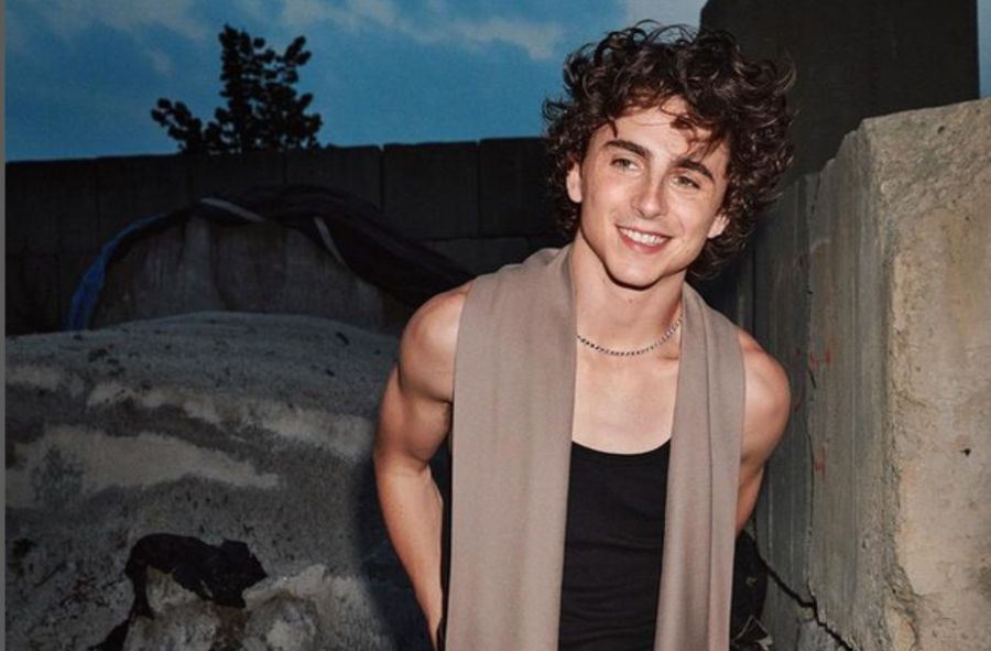 Timothée Chalamet wziął udział w konkursie na swojego sobowtóra