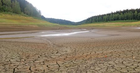Sprawdź, jak suche powietrze wpływa na alergię