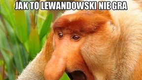 "Lewandowski nie gra? Oddajcie kasę złodzieje jedne". Memy po meczu Polska - Irlandia