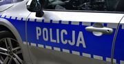 Kalisz: 20-latek ukradł figurę krowy. Przyznał policjantom, że był wtedy pijany