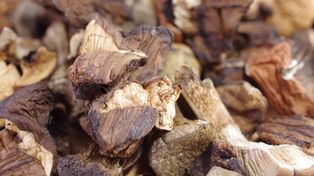 Grzyby suszone to nie tylko aromat. Oto jak wpływają na sytość i apetyt